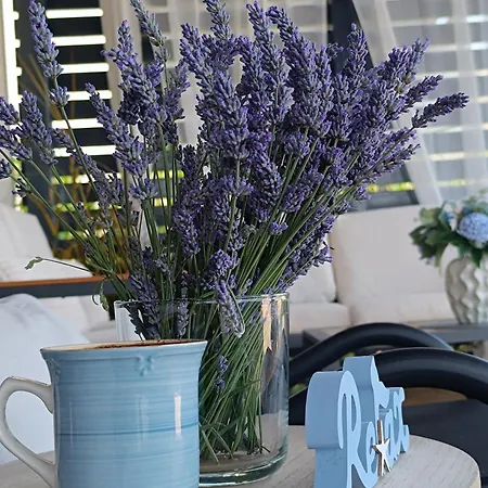 Zen Zone Spirit Premium Mobile Apartamento Kolan